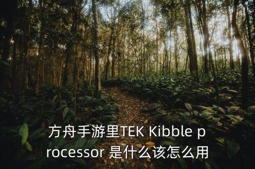 方舟手游幼龙要吃龙蛋怎么给，方舟手游里TEK Kibble processor 是什么该怎么用