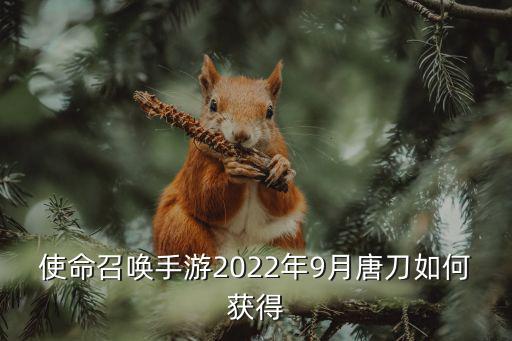 使命召唤手游2022年9月唐刀如何获得