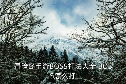 冒险岛手游BOSS打法大全 BOSS怎么打