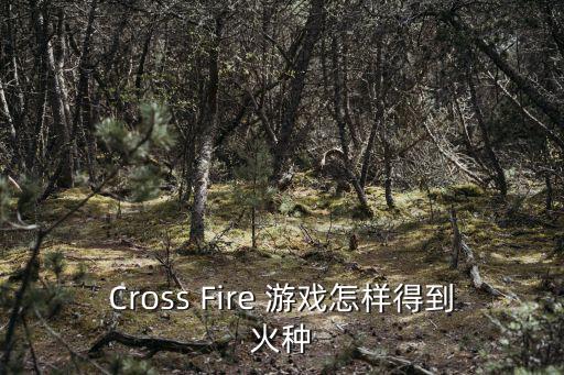 Cross Fire 游戏怎样得到火种