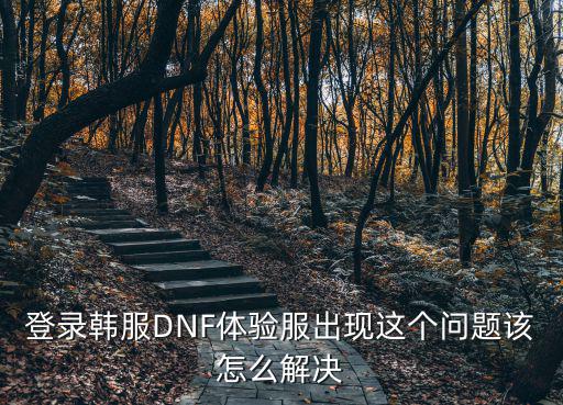 登录韩服DNF体验服出现这个问题该怎么解决