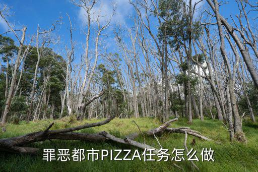 罪恶都市PIZZA任务怎么做