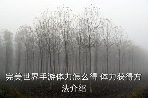 完美世界手游体力怎么得 体力获得方法介绍