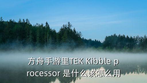 方舟手游里TEK Kibble processor 是什么该怎么用