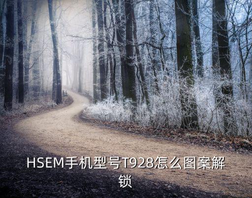 HSEM手机型号T928怎么图案解锁