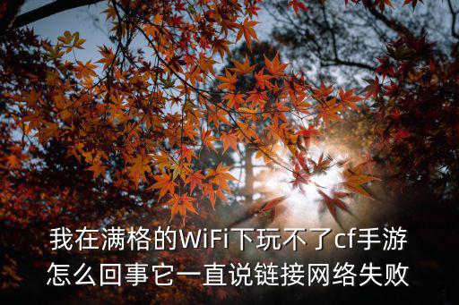 我在满格的WiFi下玩不了cf手游怎么回事它一直说链接网络失败