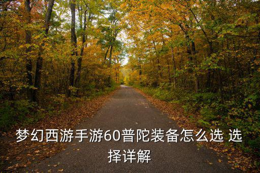 梦幻西游手游60普陀装备怎么选 选择详解