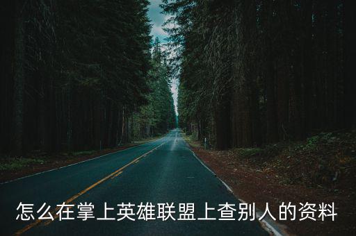 联盟手游怎么看挂机记录，怎么查英雄联盟游戏登陆记录