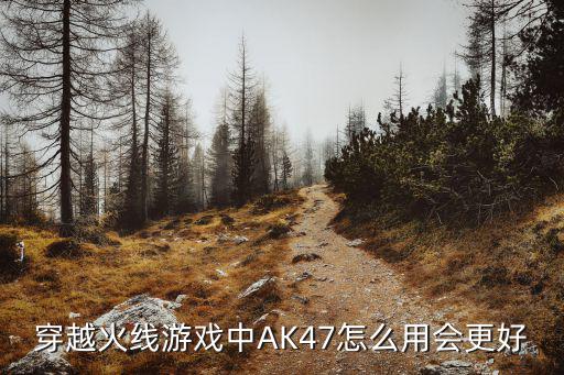 穿越火线手游木头ak怎么用，CF游戏的AK47怎么使用