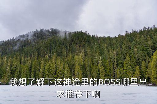 我想了解下这神途里的BOSS哪里出求推荐下啊