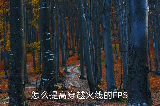 怎么提高穿越火线的FPS