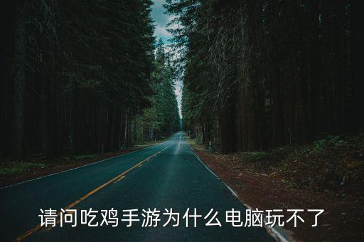 吃鸡手游电脑怎么匹配不了，请问吃鸡手游为什么电脑玩不了