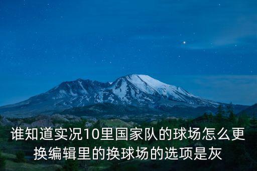 谁知道实况10里国家队的球场怎么更换编辑里的换球场的选项是灰