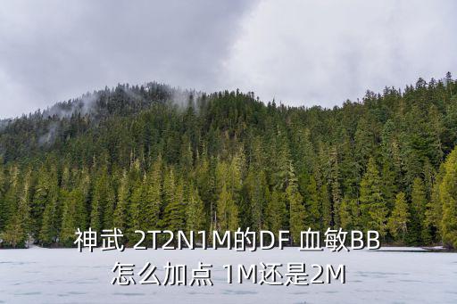 神武 2T2N1M的DF 血敏BB怎么加点 1M还是2M