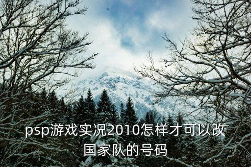 psp游戏实况2010怎样才可以改国家队的号码