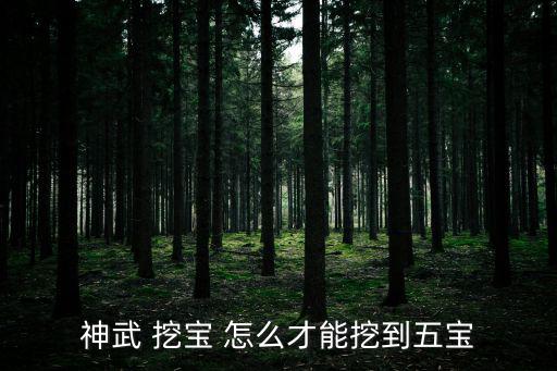 神武 挖宝 怎么才能挖到五宝