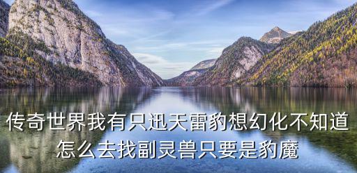 传奇世界我有只迅天雷豹想幻化不知道怎么去找副灵兽只要是豹魔