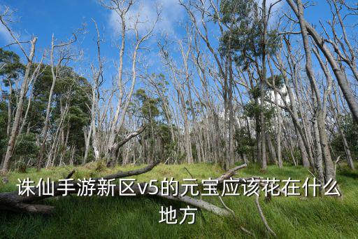 诛仙手游新区v5的元宝应该花在什么地方