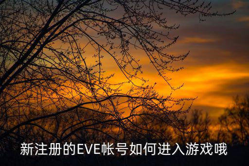 手游怎么登陆eve，EVE怎么登录求救