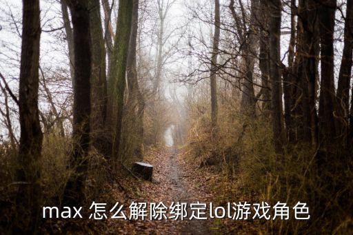 max 怎么解除绑定lol游戏角色