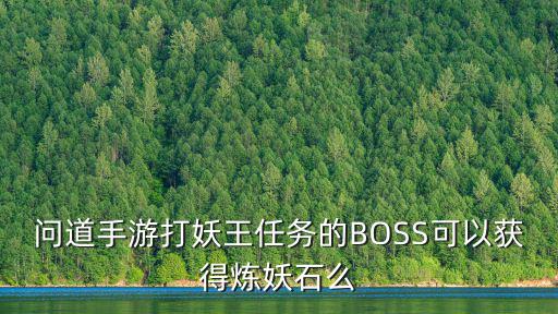 问道手游打妖王任务的BOSS可以获得炼妖石么