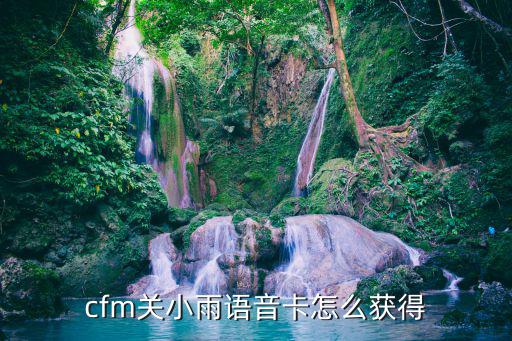 cfm关小雨语音卡怎么获得