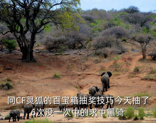 问CF灵狐的百宝箱抽奖技巧今天抽了6次没一次中的求中黑骑