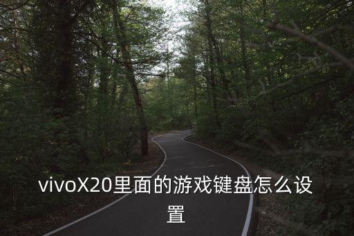 2k21手游怎么设置键盘键位，vivoX20里面的游戏键盘怎么设置