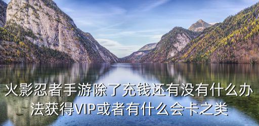 火影忍者手游除了充钱还有没有什么办法获得VIP或者有什么会卡之类