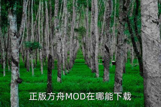 方舟手游变形记怎么下载，正版方舟MOD在哪能下载