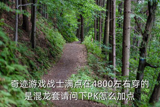 奇迹游戏战士满点在4800左右穿的是混龙套请问下PK怎么加点