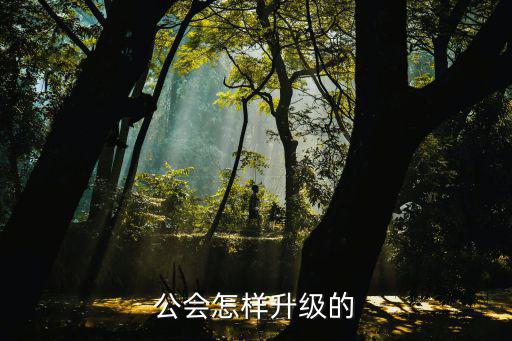 公会怎样升级的