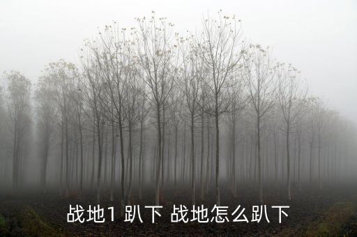 战地1 趴下 战地怎么趴下