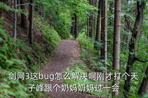 剑网3这bug怎么解决啊刚才打个天子峰跟个奶妈奶妈过一会