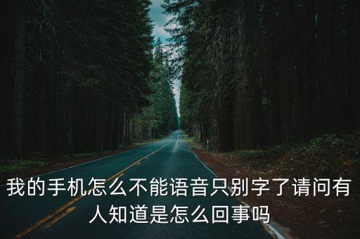 灌篮高手手游怎么不能语音打字，请教为什么现在游戏无法语音了按U没用