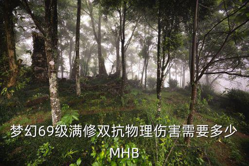 梦幻69级满修双抗物理伤害需要多少MHB