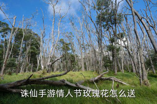 诛仙手游怎么获得一大束花，诛仙手游倾世花怎么获取 倾世花快速获取方法