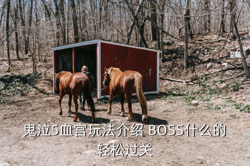 鬼泣5血宫玩法介绍 BOSS什么的轻松过关