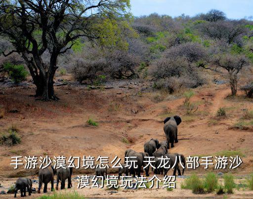 手游沙漠幻境怎么玩 天龙八部手游沙漠幻境玩法介绍