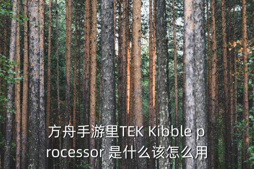 方舟手游里TEK Kibble processor 是什么该怎么用