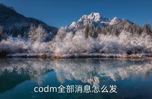 codm全部消息怎么发