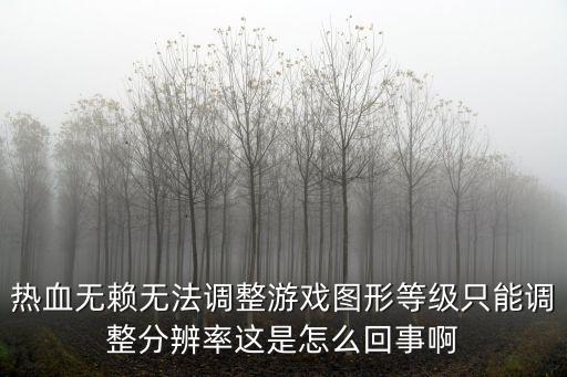 热血无赖无法调整游戏图形等级只能调整分辨率这是怎么回事啊