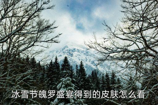 冰雪节魄罗盛宴得到的皮肤怎么看