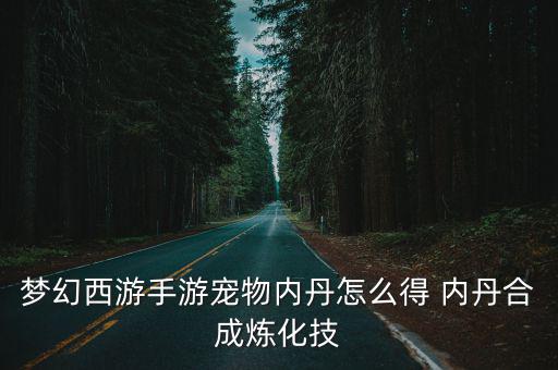 梦幻手游内丹怎么做，梦幻西游手游宠物内丹怎么选择 攻法血宠内丹优先级推荐