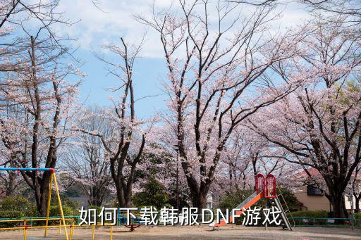 华为怎么下载DNF韩服手游，如何下载韩服DNF游戏