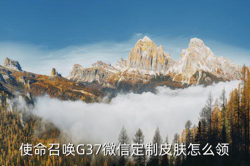 使命召唤G37微信定制皮肤怎么领