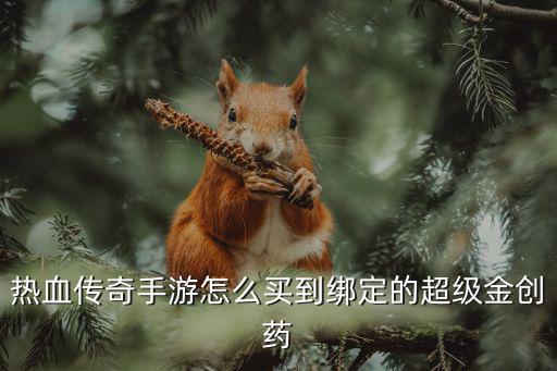 热血传奇手游怎么买到绑定的超级金创药