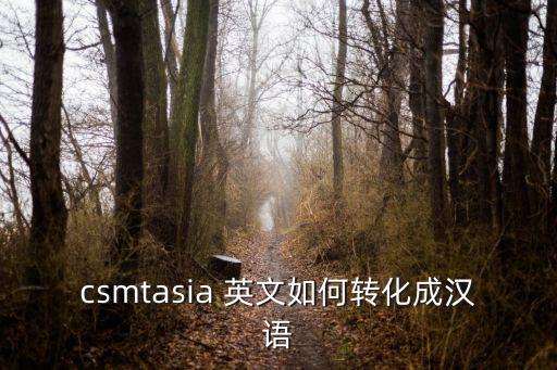 csmtasia 英文如何转化成汉语