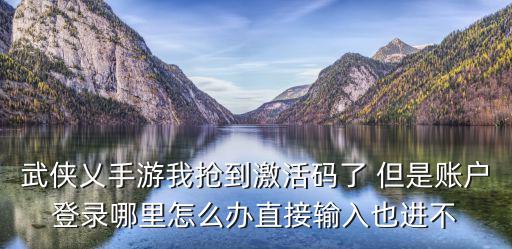 武侠乂手游我抢到激活码了 但是账户登录哪里怎么办直接输入也进不