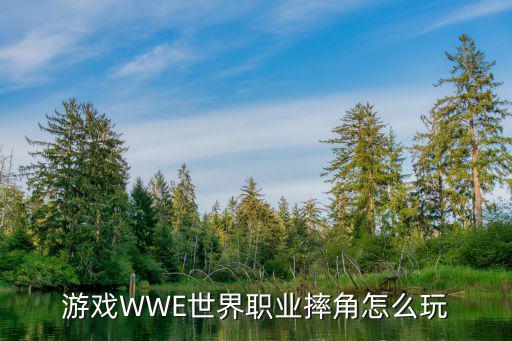 游戏WWE世界职业摔角怎么玩